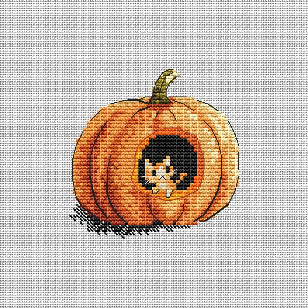 Pattern "Pumpkin and a cat"